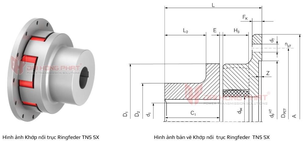 Bản vẽ kỹ thuật khớp nối trục Ringfeder TNS SX