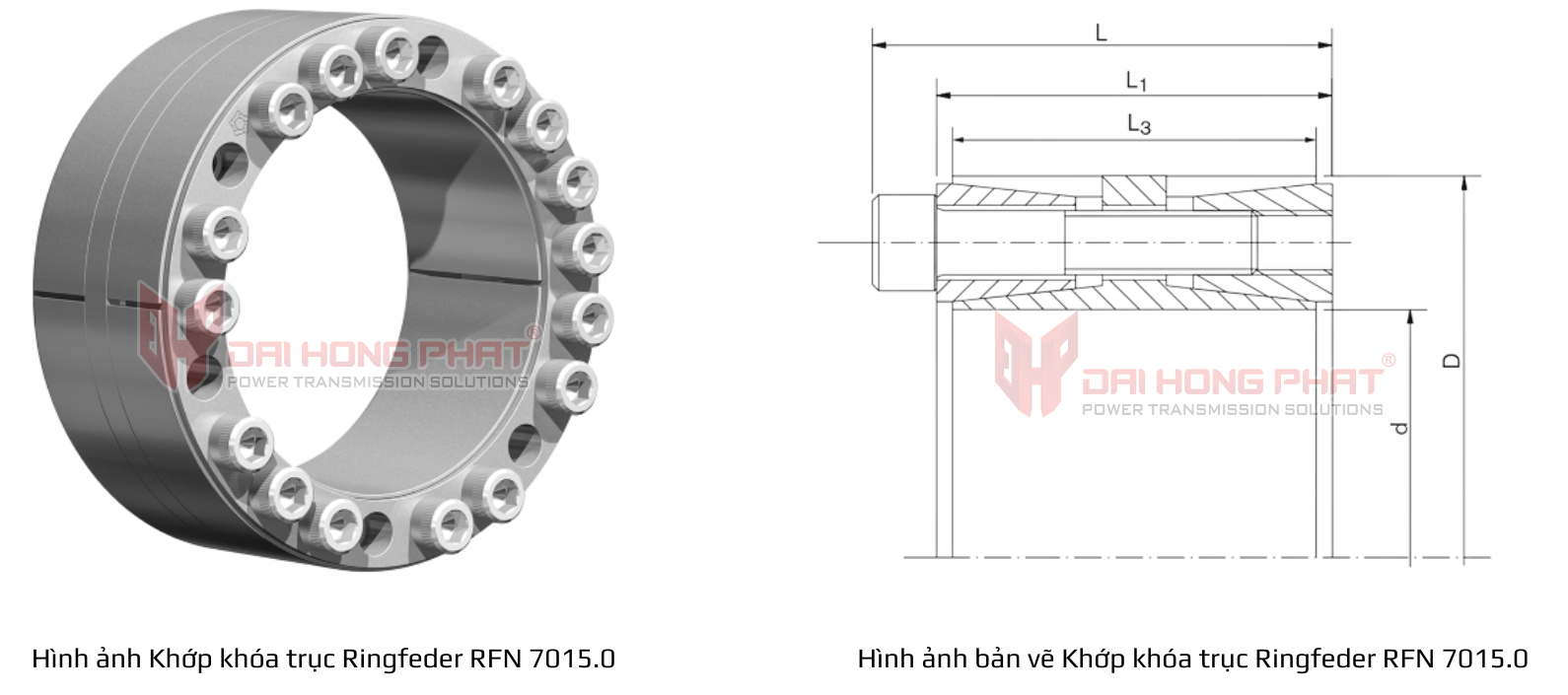 Ban-ve-ky-thuat-khop-khoa-truc-Ringfeder-RfN-7015-0