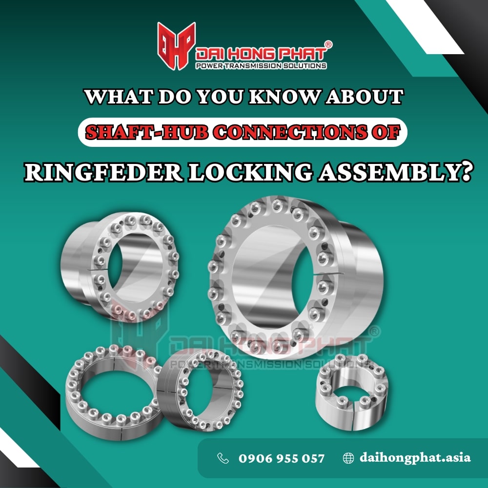 Ringfeder Locking Assembly