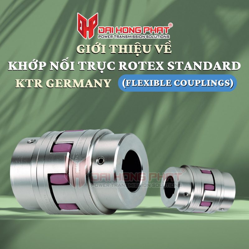 GIỚI THIỆU VỀ KHỚP NỐI TRỤC ROTEX STANDARD KTR GERMANY (FLEXIBLE COUPLINGS)