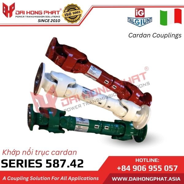 khop-noi-truc-cardan-italgiunti-series-587-42