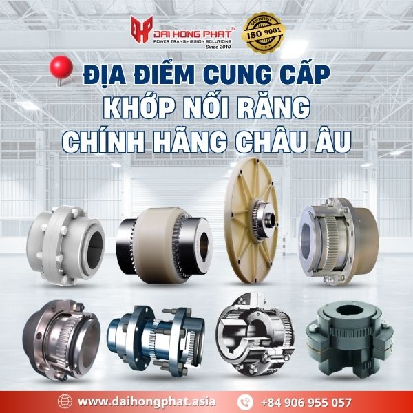 Địa điểm cung cấp khớp nối răng chính hãng EU