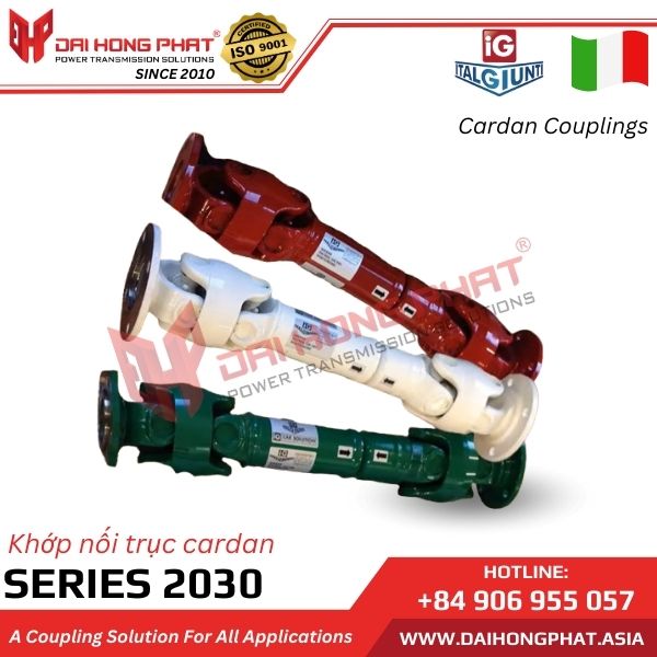 khop-noi-truc-cardan-italgiunti-series-2030