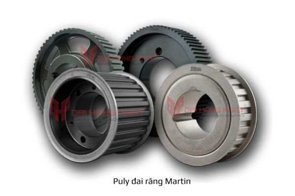 puly-dai-rang-martin