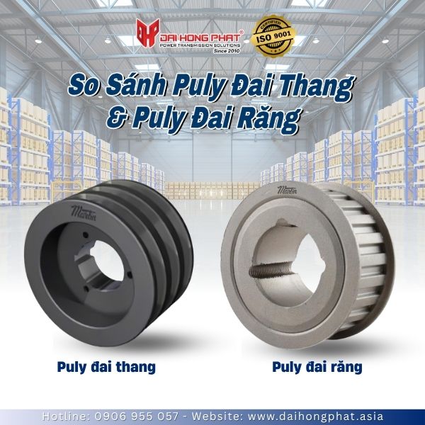 so-sanh-puly-dai-thang-va-puly-dai-rang