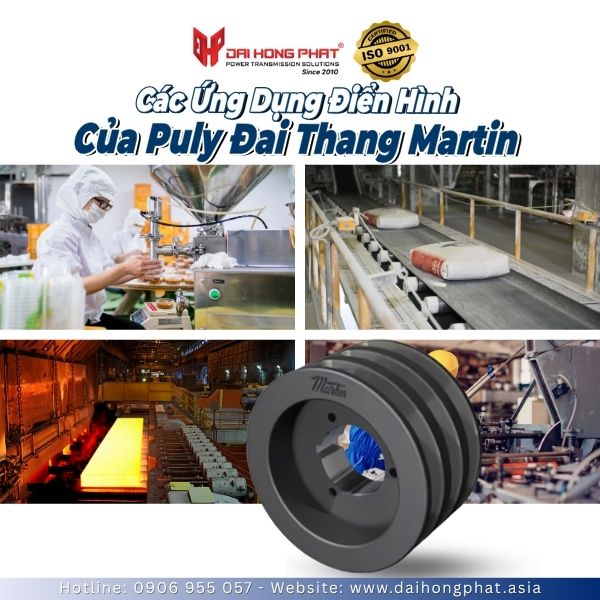 ung-dung-puly-dai-thang-martin