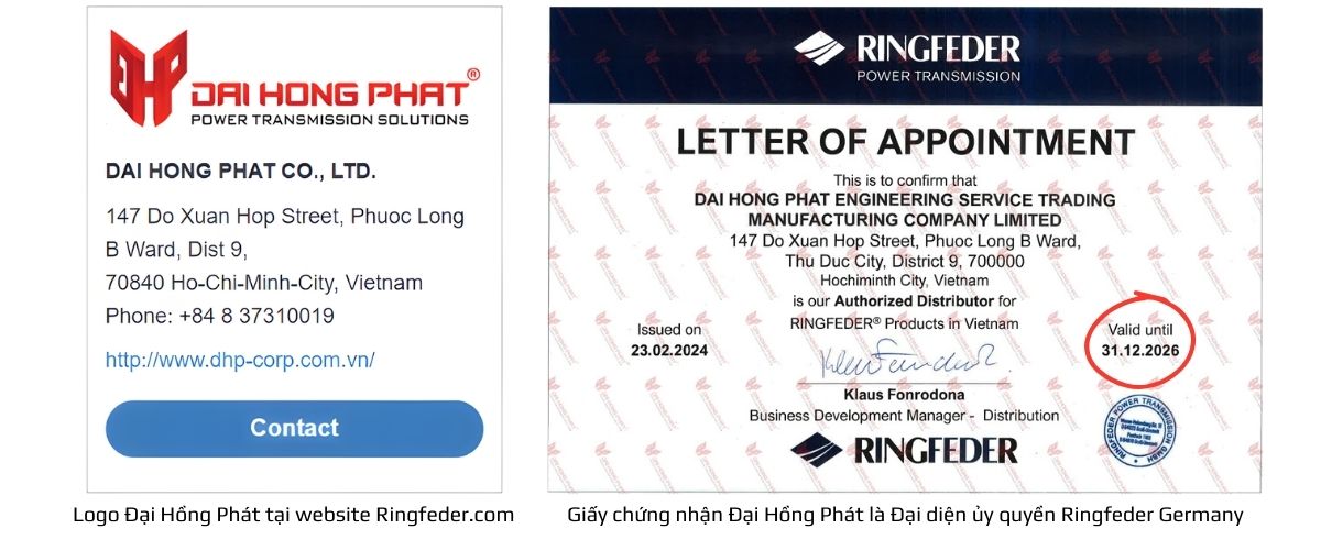 dai-hong-phat-tai-website-ringfeder