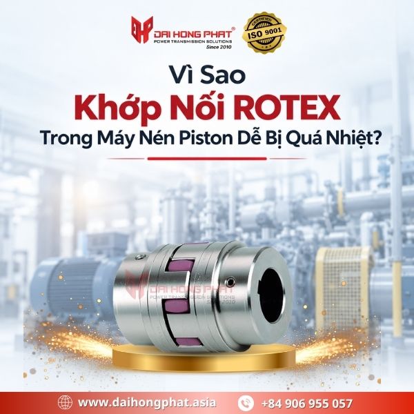 Vì Sao Khớp Nối ROTEX Trong Máy Nén Piston Dễ Bị Quá Nhiệt?