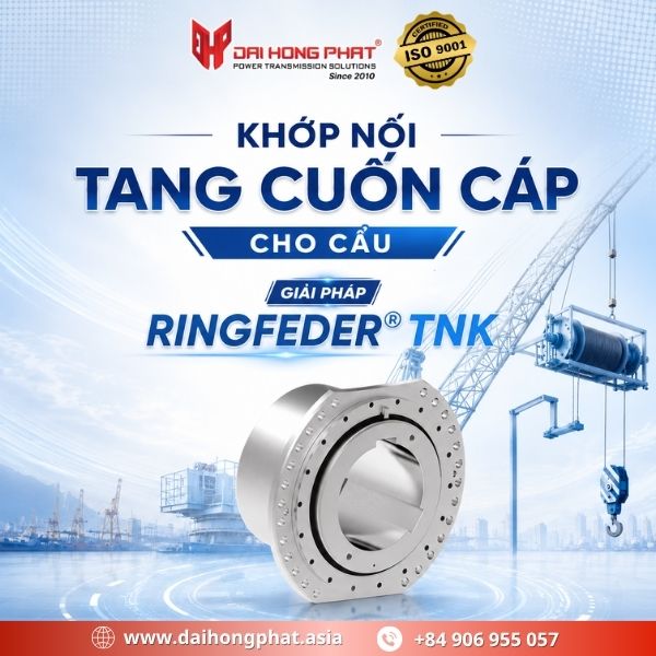 Khớp nối tang cuốn cáp cho cẩu: Giải pháp RINGFEDER® TNK