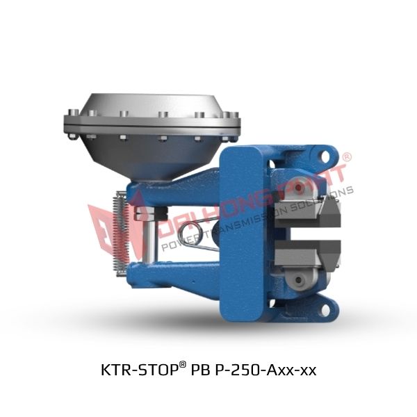 Phanh đĩa khí nén KTR-STOP PB P-250-Axx-xx - Đại Hồng Phát